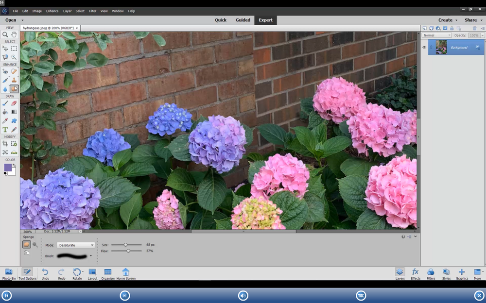 New Learn PHOTOSHOP ELEMENTS 2023 Training Tutorial DVD and Digital Course