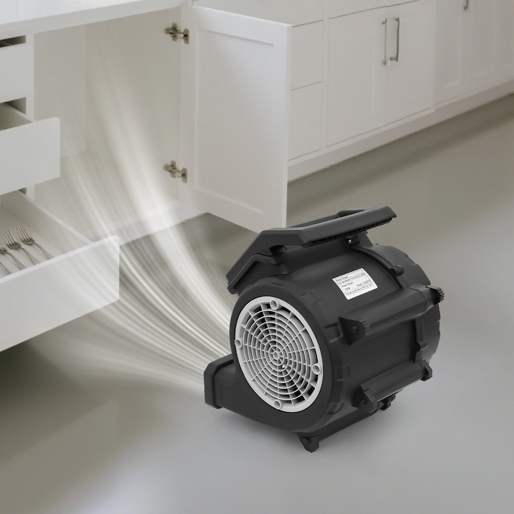 250W 3 speed Air Mover Carpet Dryer  timing function portable Carpet Drying Fan