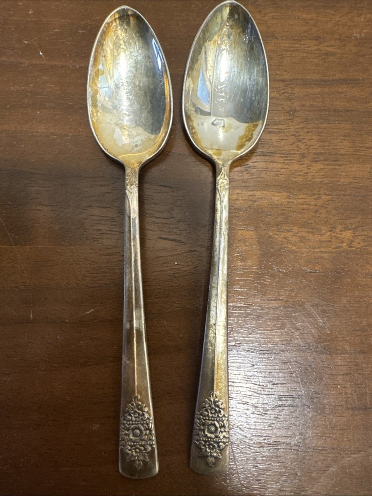 Antique 1847 Rogers Bros ADORATION Silverplate Salt Spoon