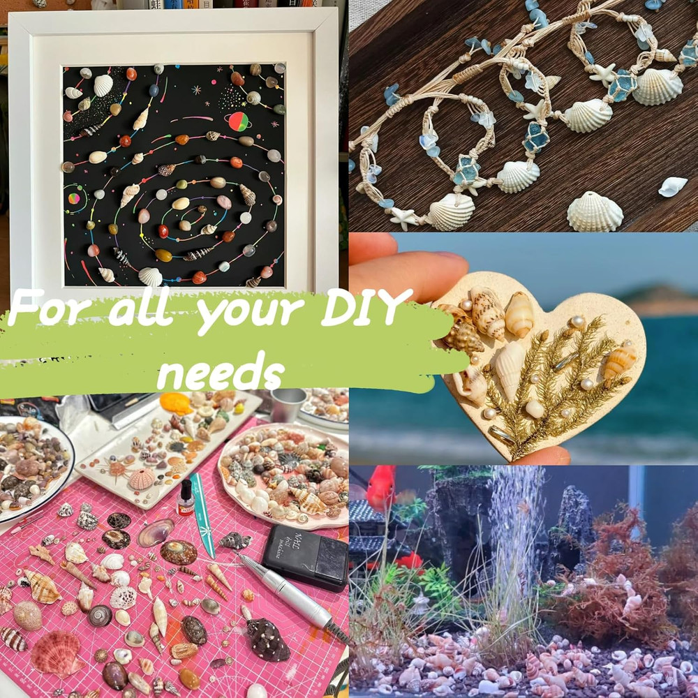 1200 PCS Tiny Sea Shells &10 Small Starfish - Mixed Ocean Beach Spiral Seashells