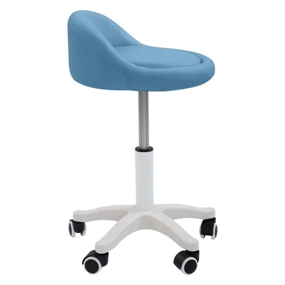 Adjustable Beauty Salon Chair, Rolling Stool, Rolling Stool with Low Backrest