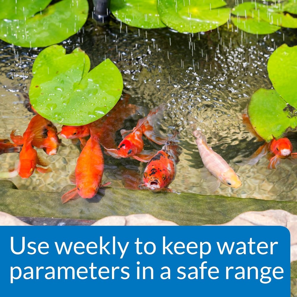 API POND WIDE RANGE pH TEST KIT 160-Test Pond Water Test Kit