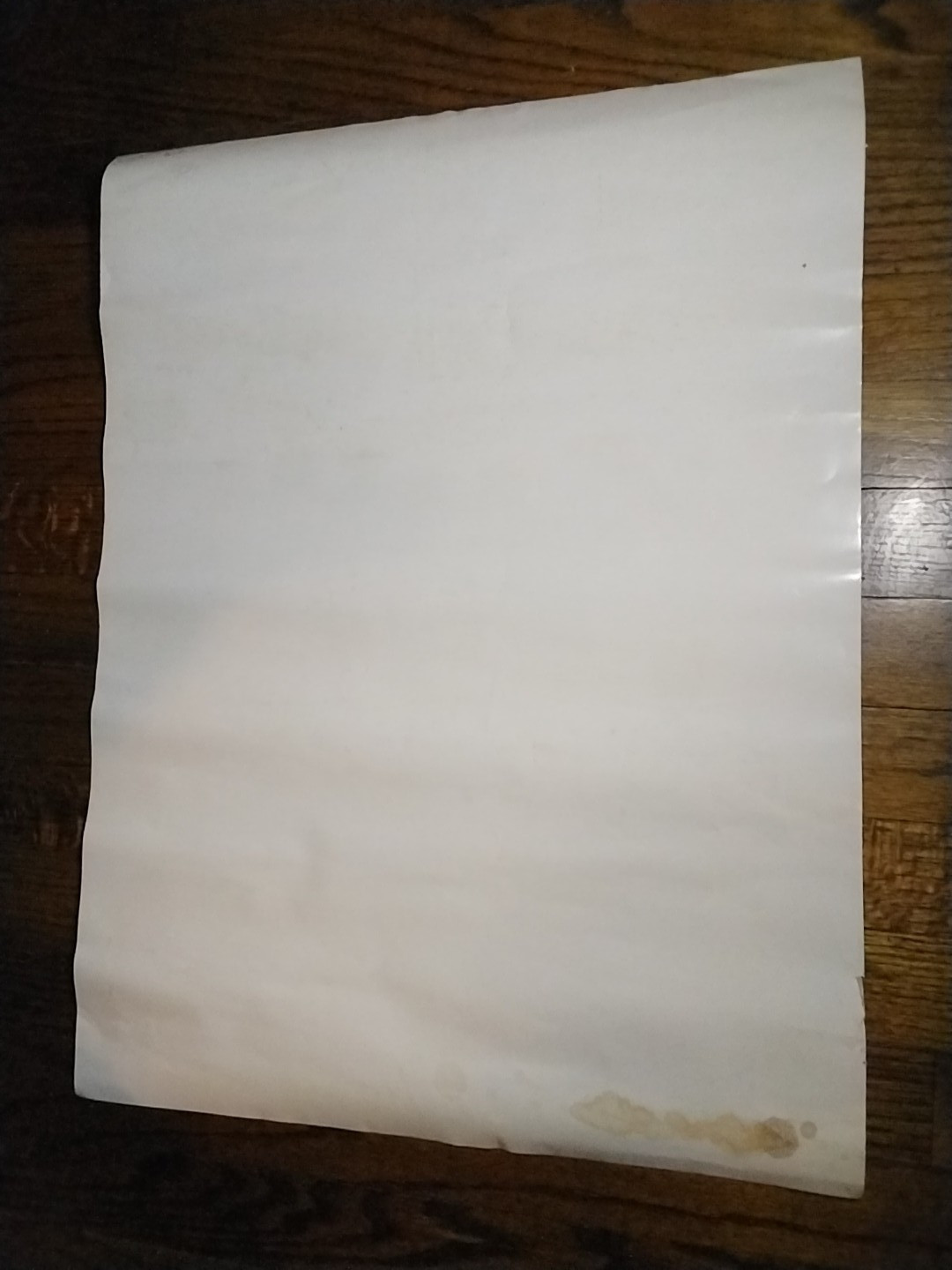 ORIG PIETASTERS CHERRY POPPIN DADDIES ROSELAND RUTGERS CONCERT POSTER INDIE PUNK