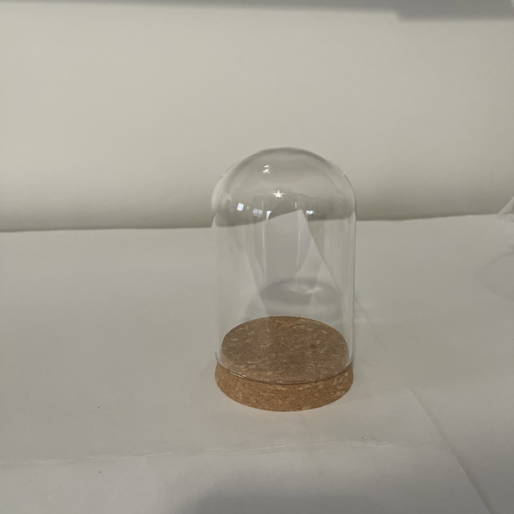 Glass Dome Display Cork Bottom