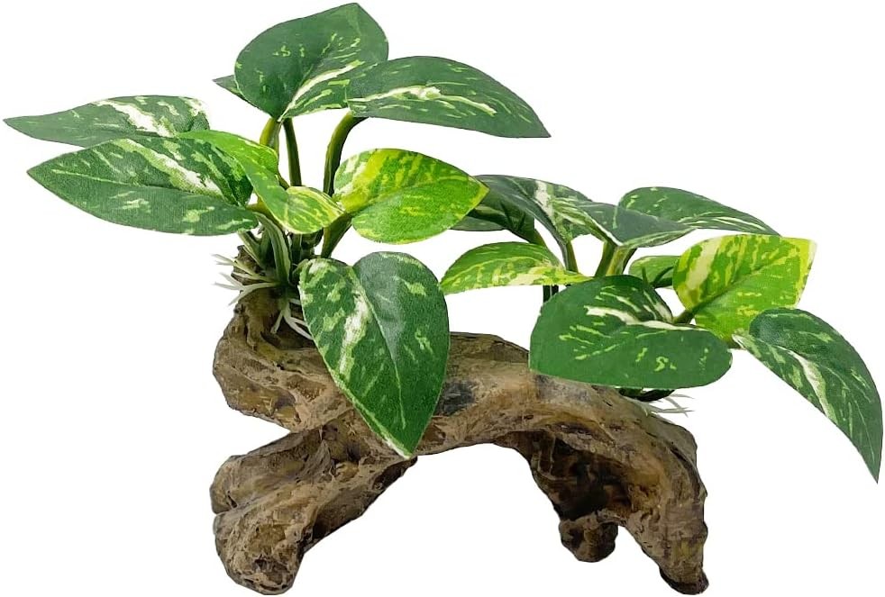 Smoothedo-Pets Fish Tank Decorations Aquarium Decor Ornaments Betta Type-c