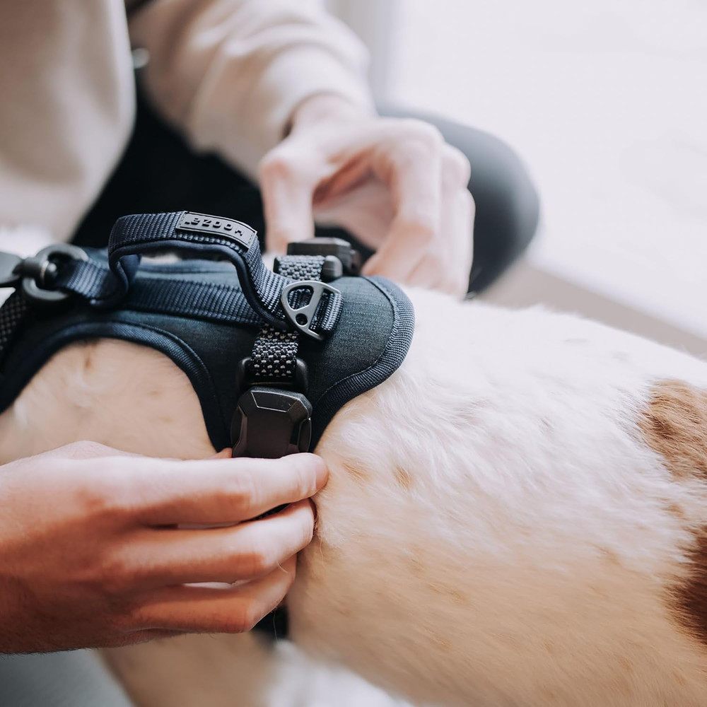 Magnetic Quick Clip: Control Harness - Black, Small