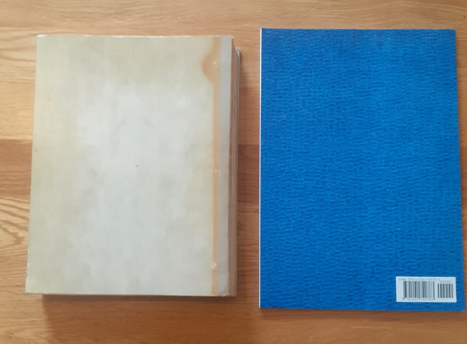 Diving Helmet Related Books Siebe Gorman interest