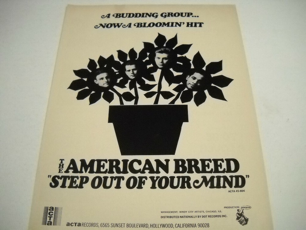 AMERICAN BREED A Budding Group - Now A Bloomin' Hit 1967 Promo Poster Ad