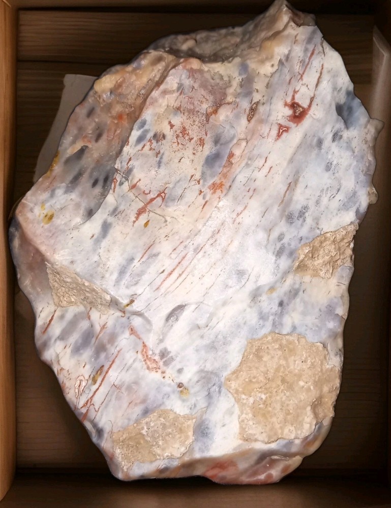 Opalized Petrified Wood Rough AZ 75g