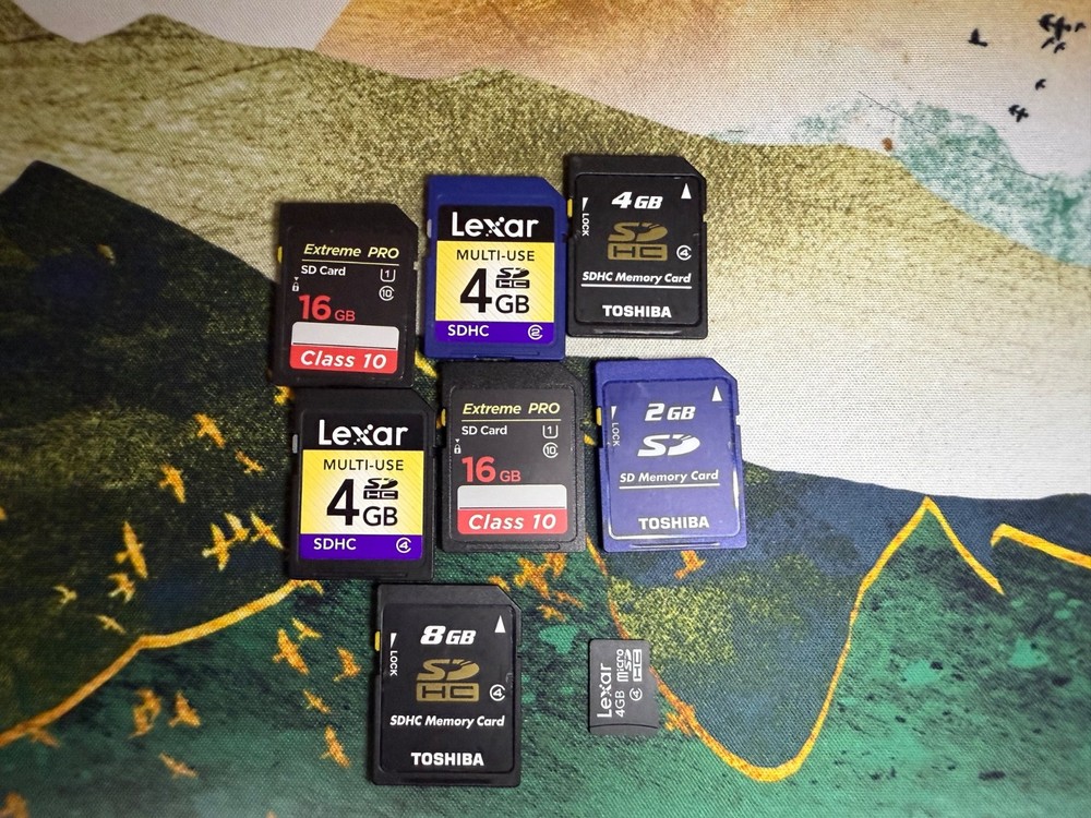 Various SD and Micro SD Cards (Nintendo 3DS)