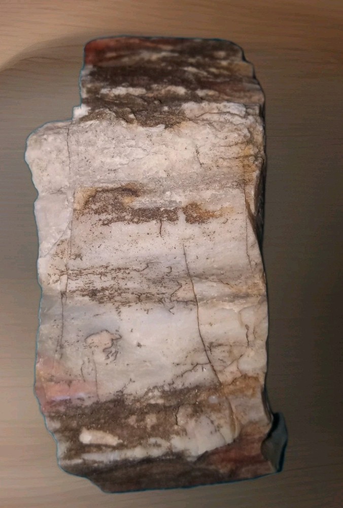 Petrified Wood Rough w Bark 220g