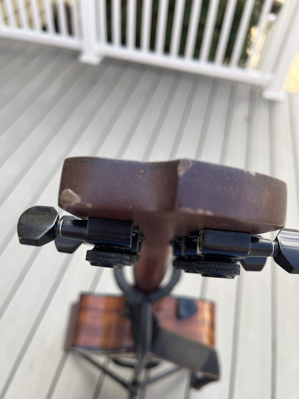 Breedlove concerto copper CE- all solid woods!