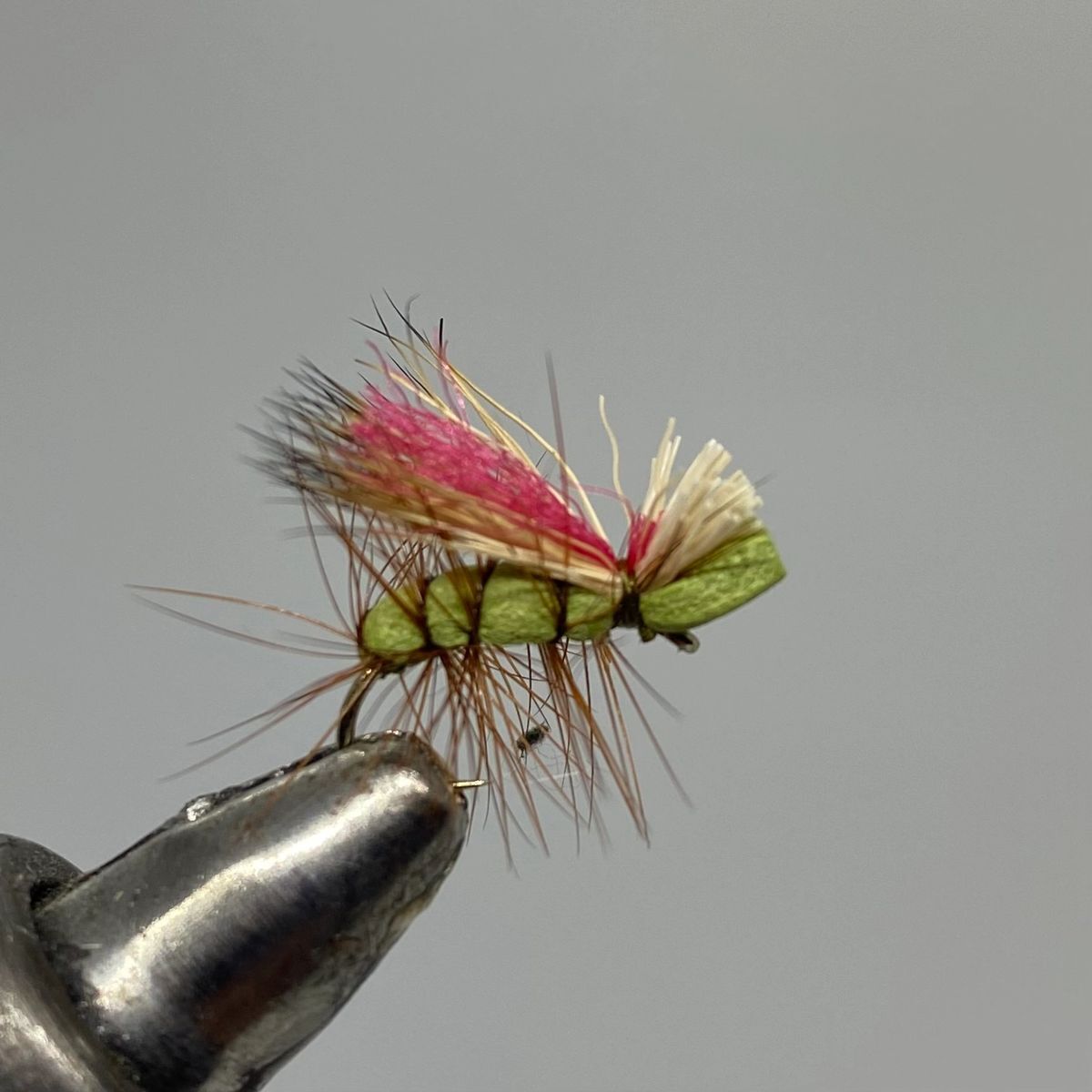 One Dozen (12) - Never Sink Caddis - Olive - Dry Fly