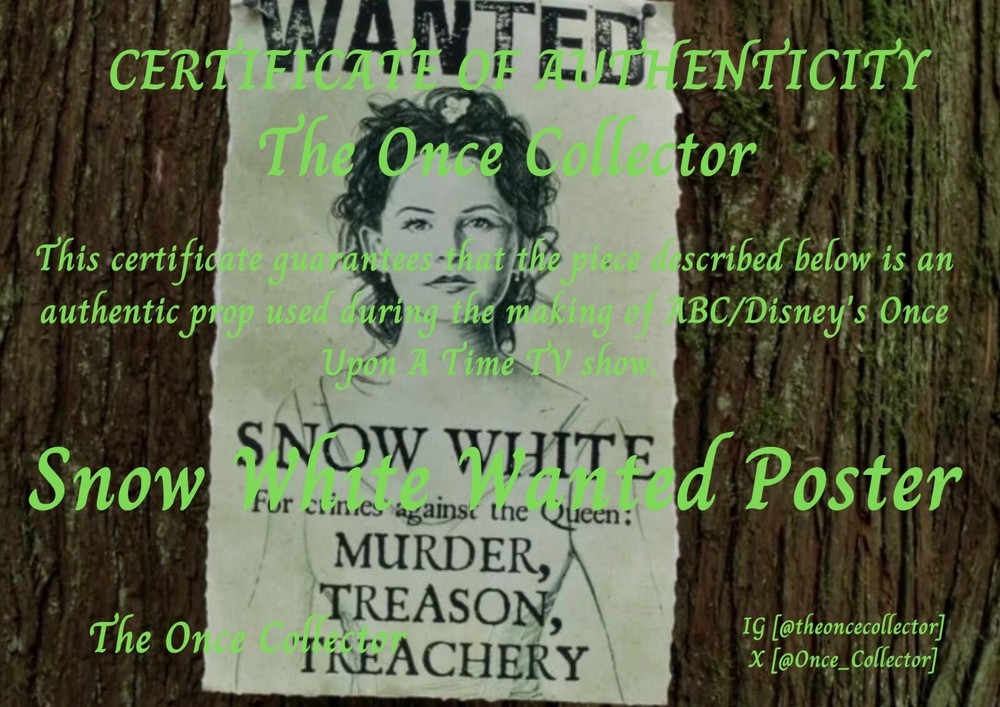 Once Upon A Time: Snow White Wanted Poster