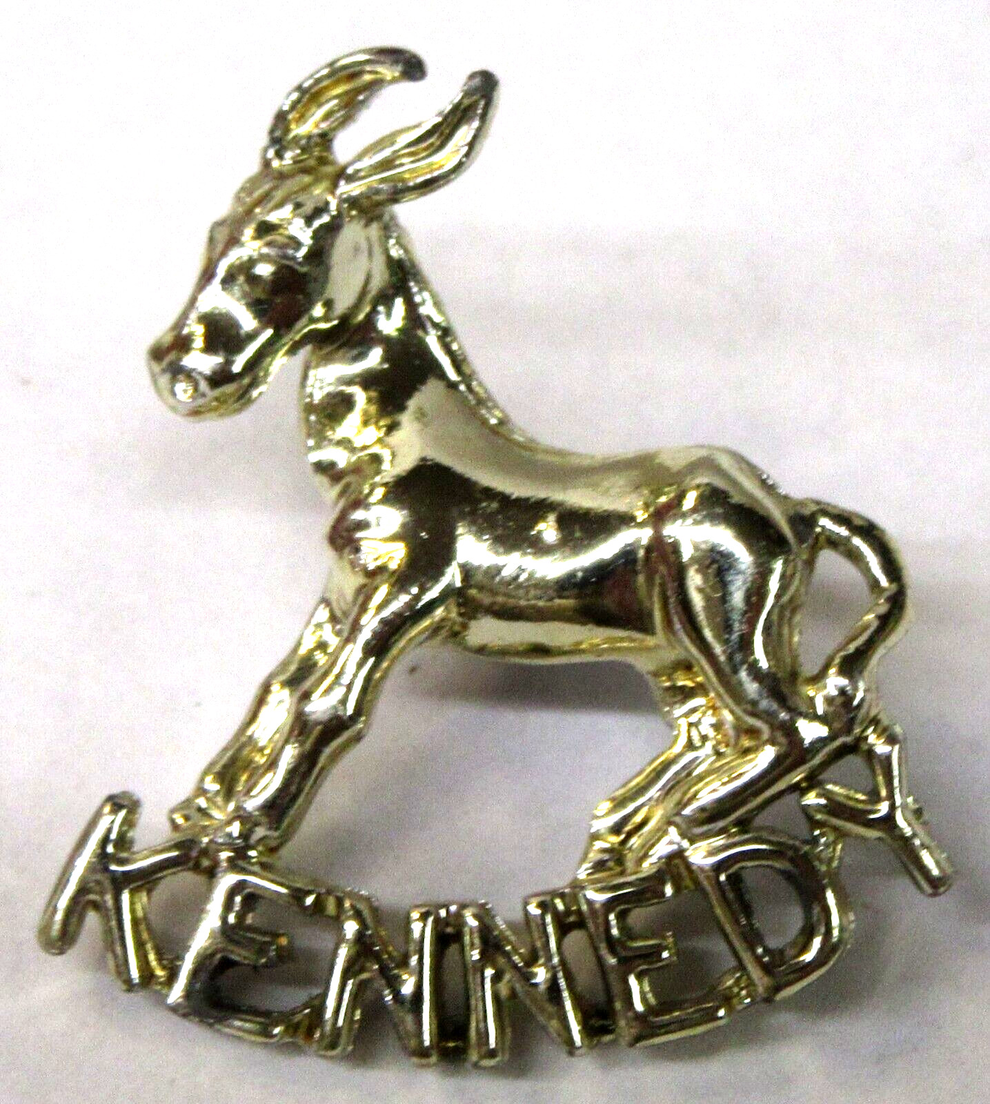 1960 JFK mint John F. Kennedy president DONKEY on NAME metal tack pin pinback ^