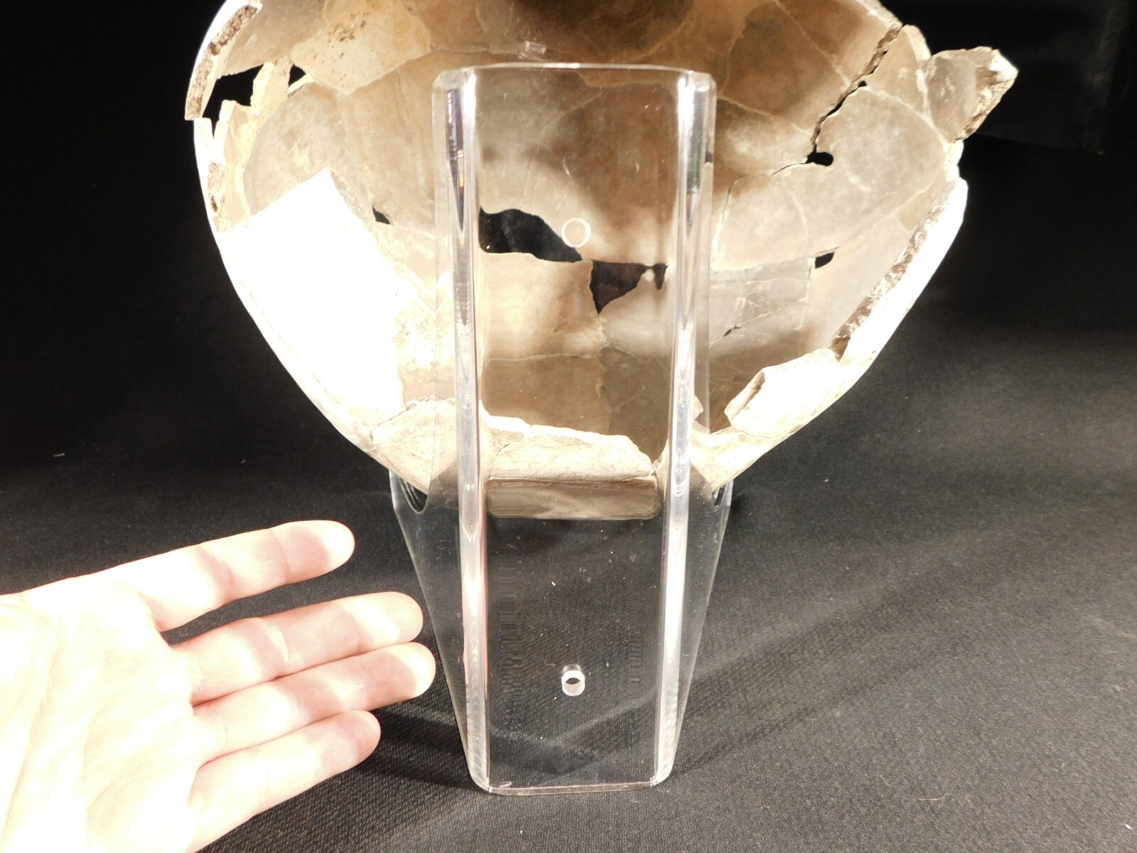 Easel Display Stand Clear Lucite X Large Size Wall Mountable