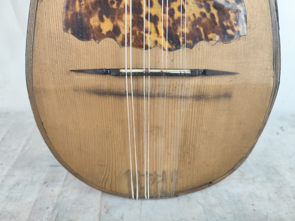 Mandolin 4/4 Francesco Solomone 1905 Naples 曼陀林 만돌린マンドリン