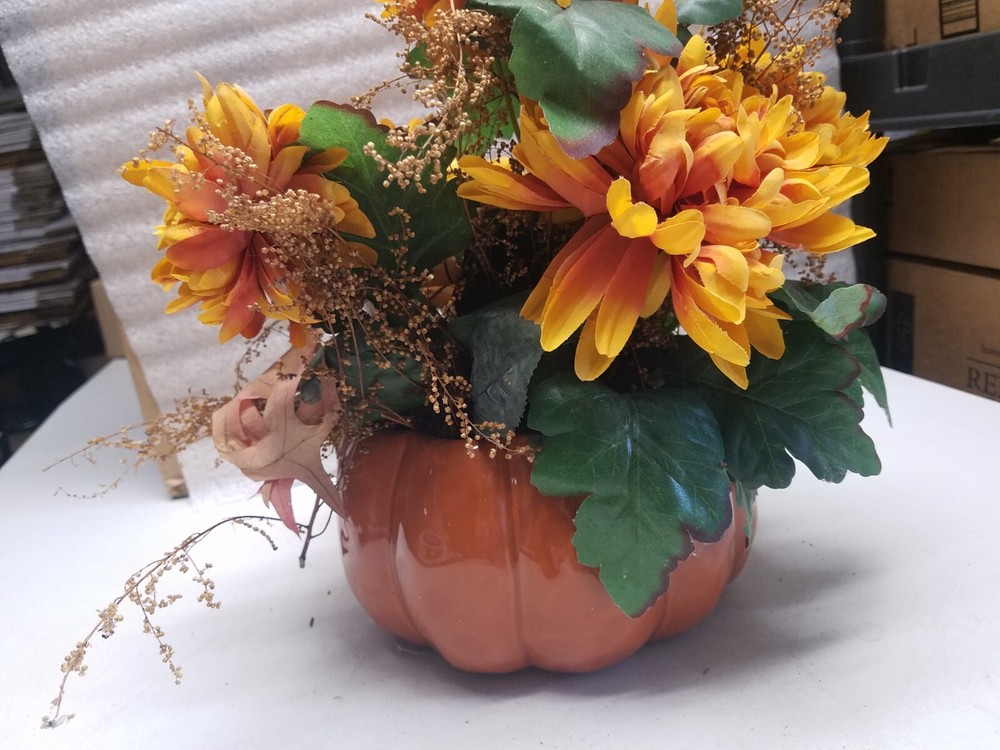 Ftd Pumpkin Shaped Flower Pot (V)