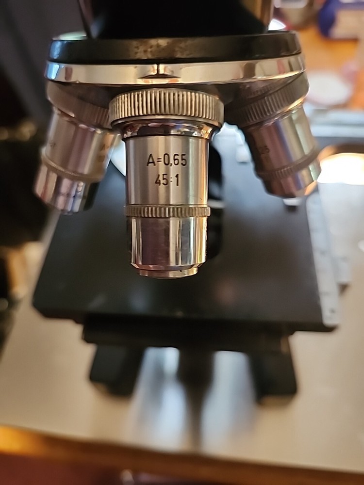 Ernst Leitz Wetzlar Binocular Microscope #413725
