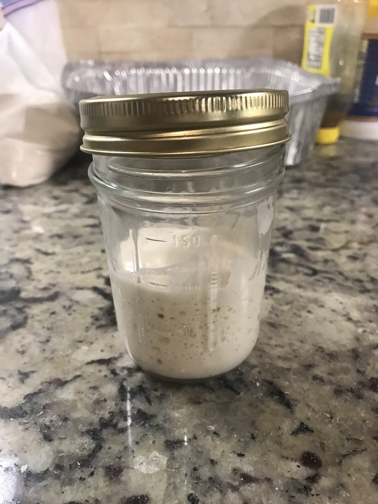 Dehydrated sourdough starter