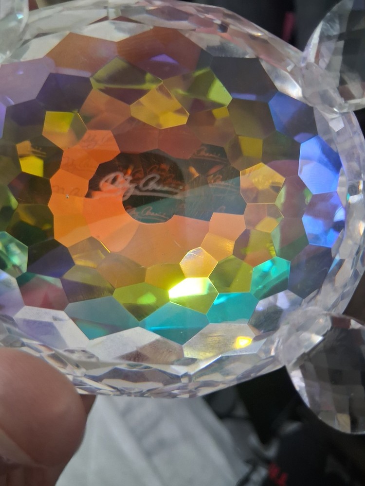 Real Crystal Turtle