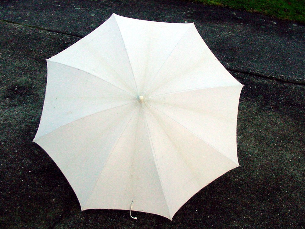 Photography 40" White Silver Umbrella Reflector Diffuser Flash Light | $6 | #98