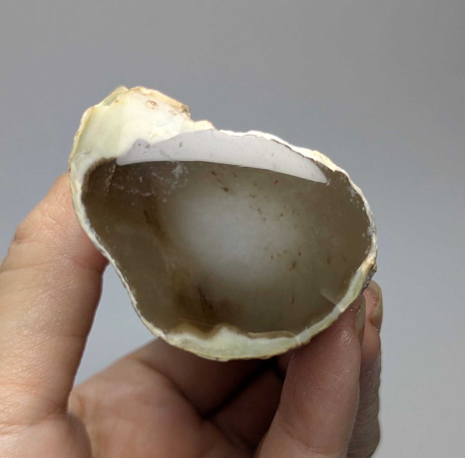 Chalcedony specimen 239 grams Raw chalcedony, rod shaped