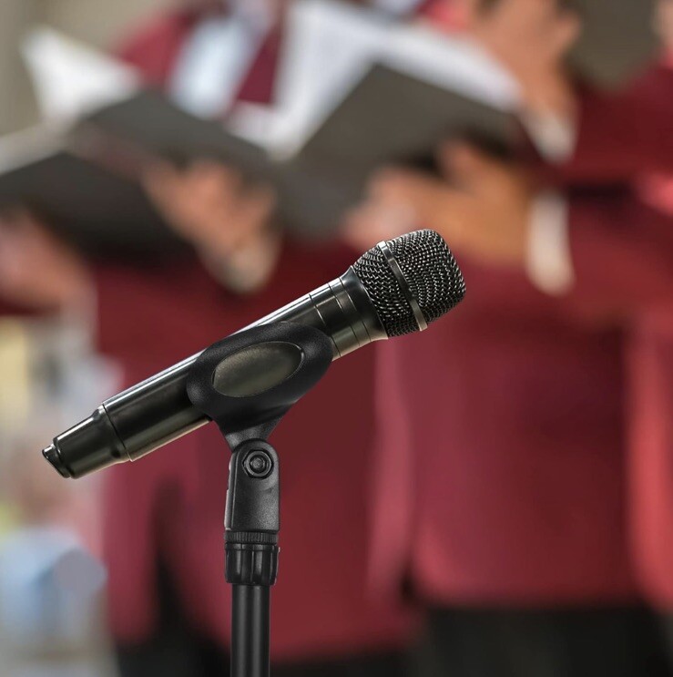 Professional Microphone Stand