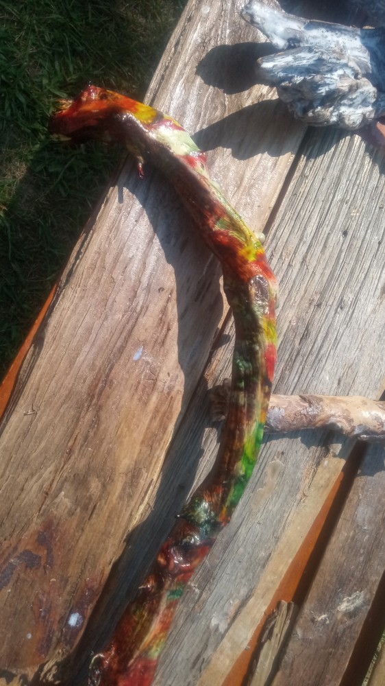 Rainbow Driftwood