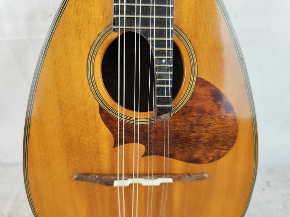 Mandolin 4/4 Raffaele Calace E Figlio 1954 Naples 曼陀林 만돌린マンドリン