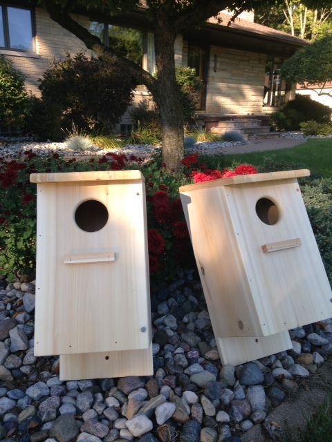 4-pack Screech owl / Kestrel nest box (white cedar)