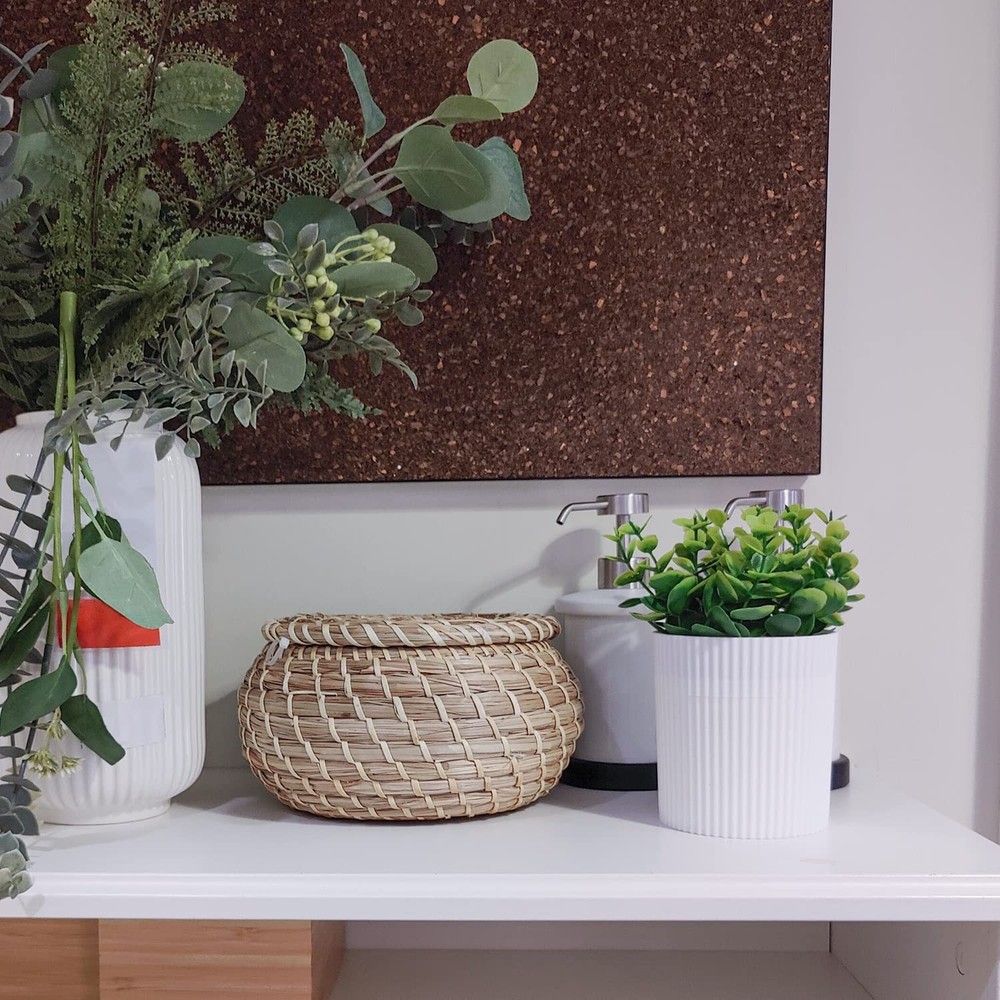 Denture Bath, Invisible Denture Case Designed As Artificial Eucalyptus Potted...