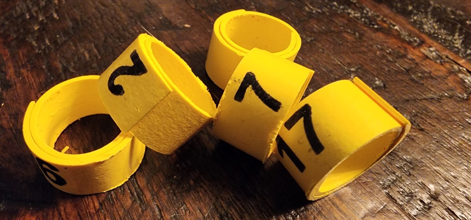 No. 9 Plastic Leg Bands Bandettes for Chickens Ducks and Pheasant