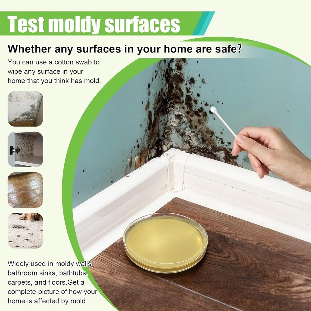 Comprehensive Home Mold Kit - 6 Easy Tests with Identification Guide