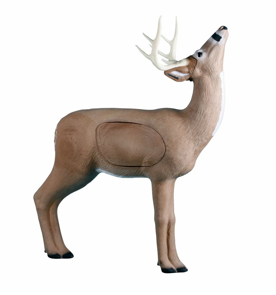 Rinehart Competition Browsing Buck Archery Replacement Core IBO (INSERT ONLY)