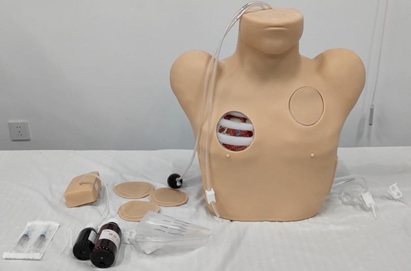 2pc Thoracic Puncture & Closed Drainage Training Model
