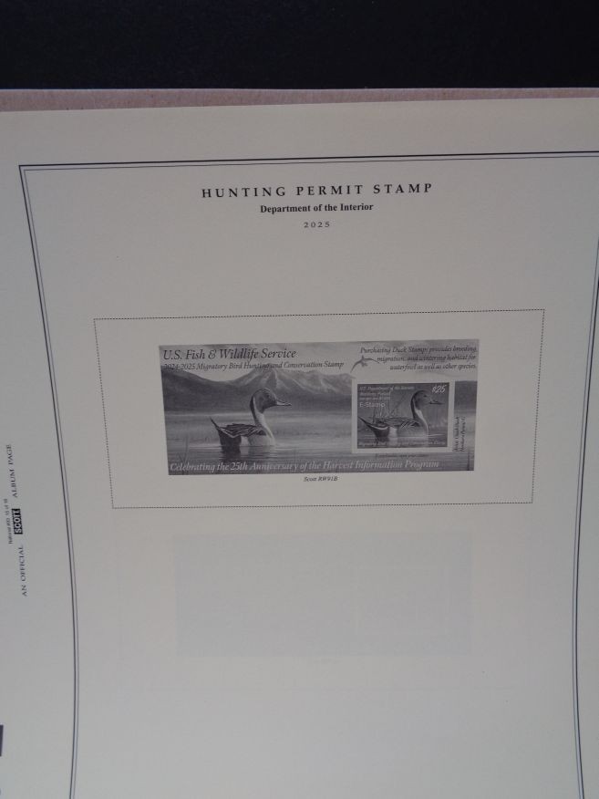 SCOTT National 2025 US Stamp album supplement # 93 NEW most recent 100S025