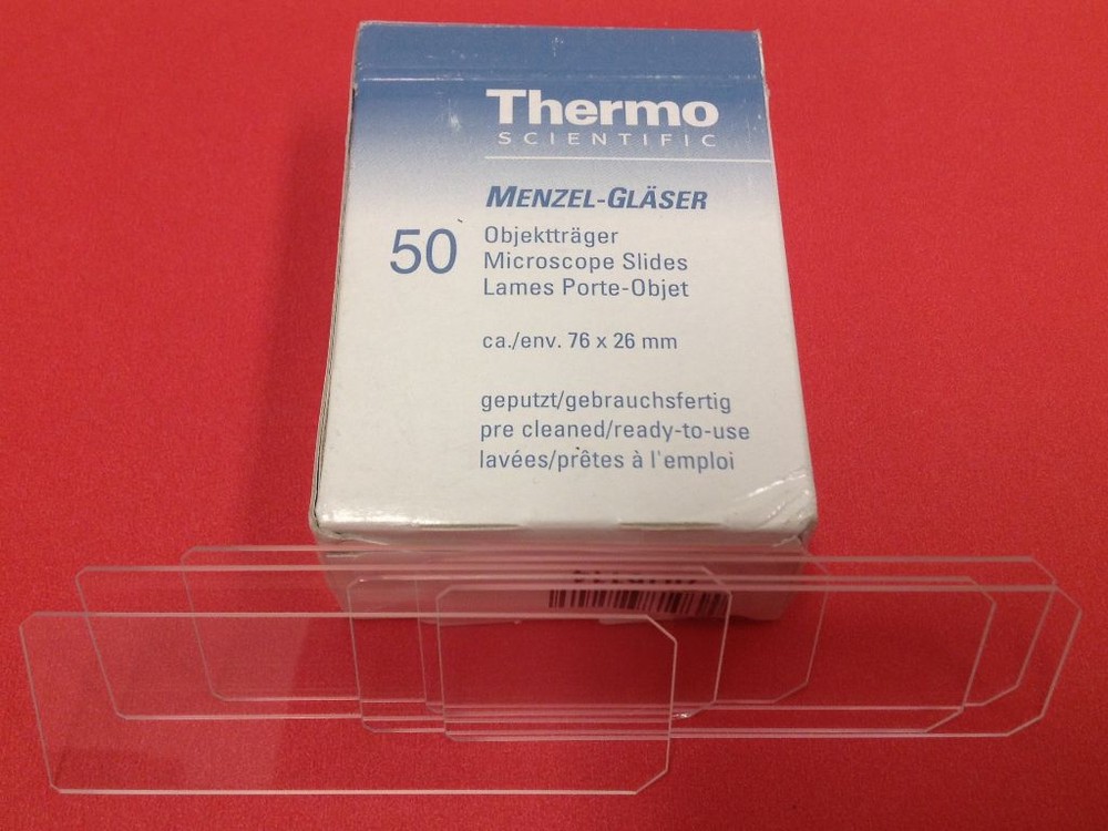 Thermo Scientific - Microscope Slides - Ground Edges - 50 pieces