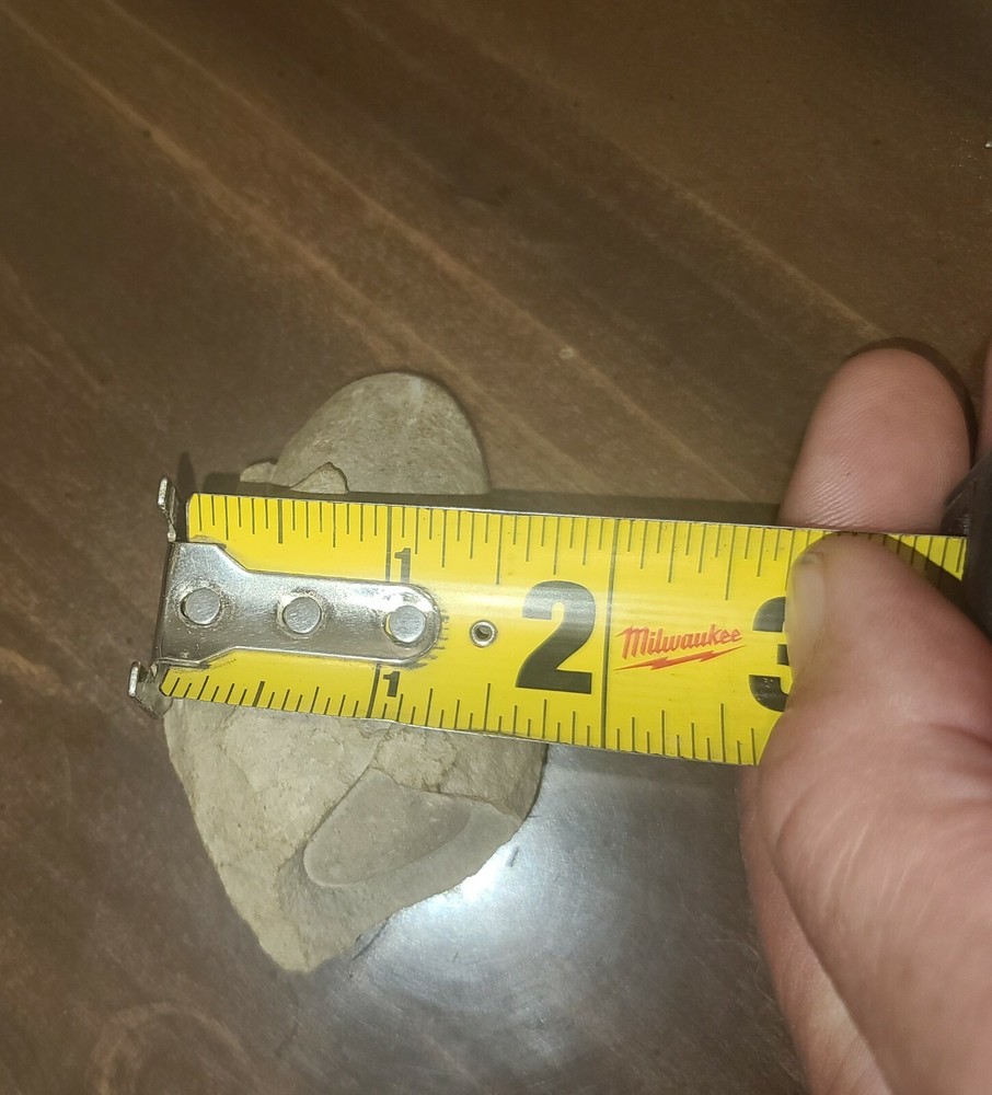 Stone (oval) embedded inside of shale