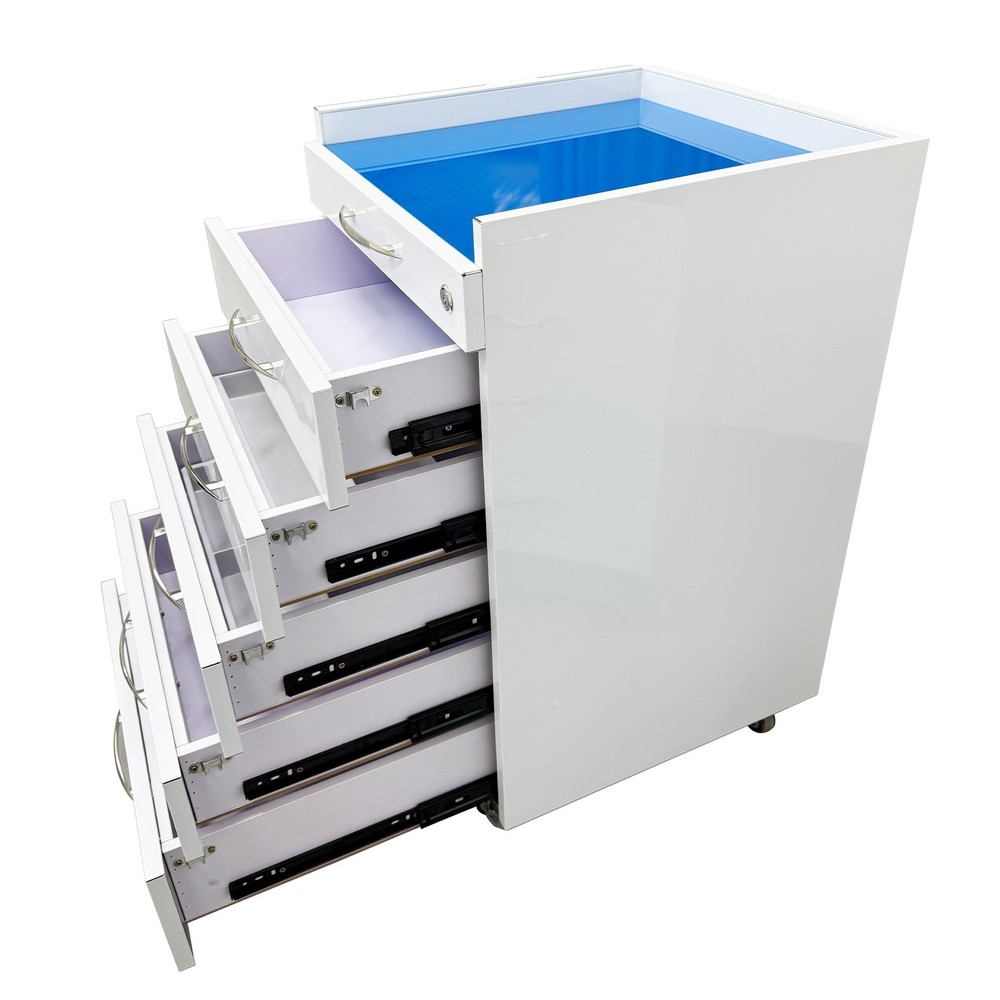 Removable Storage Cabinet with Two Separate Trays Assistant's Mobile Cabinet