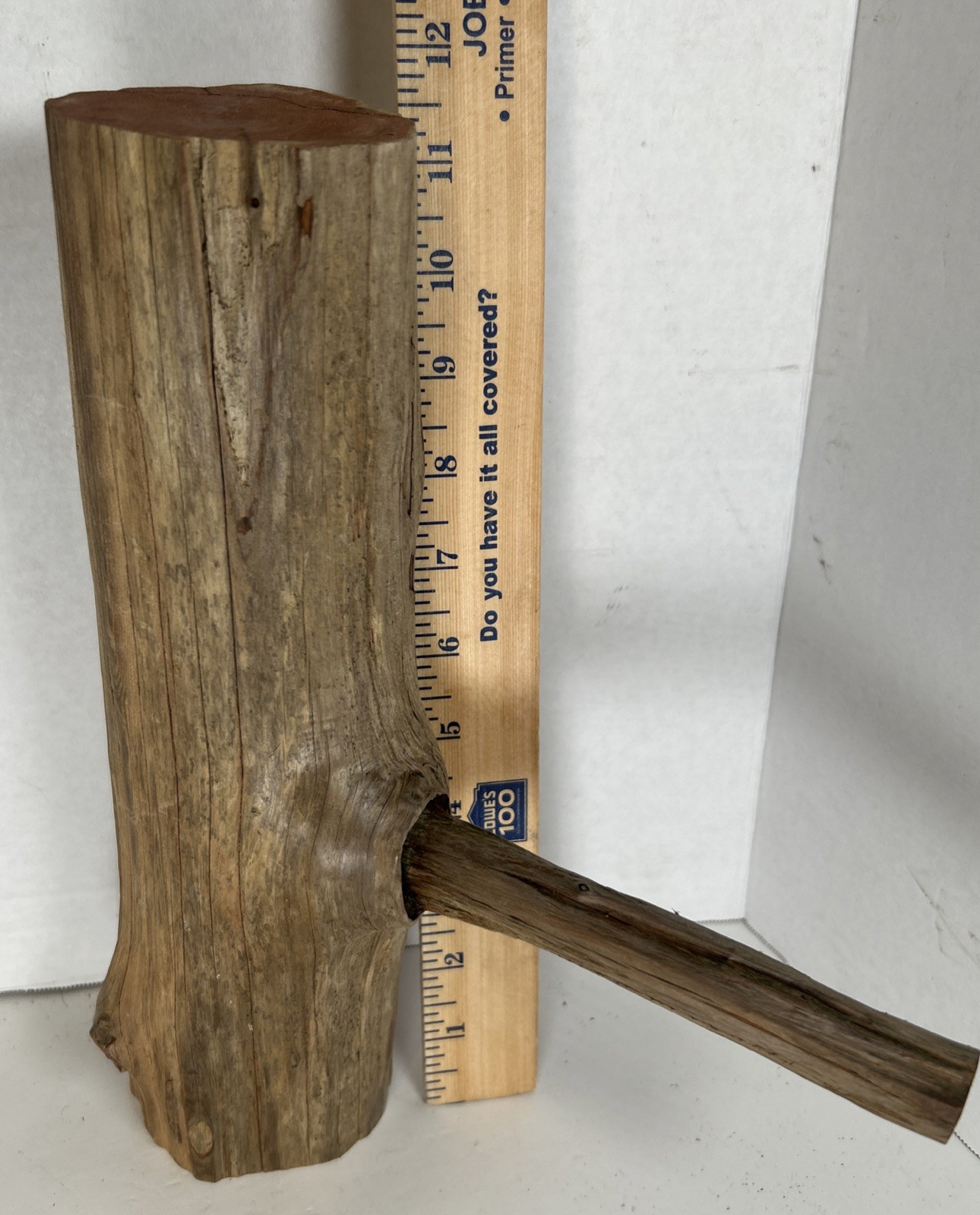 Driftwood¡ 2 Piece Set Cedar Taxidermy Beach Mountain Wedding 1 White Outside