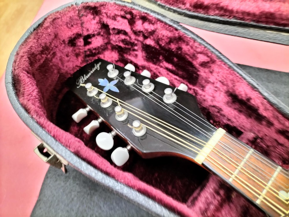 BLUERIDGE BM300F/TS Mandolin