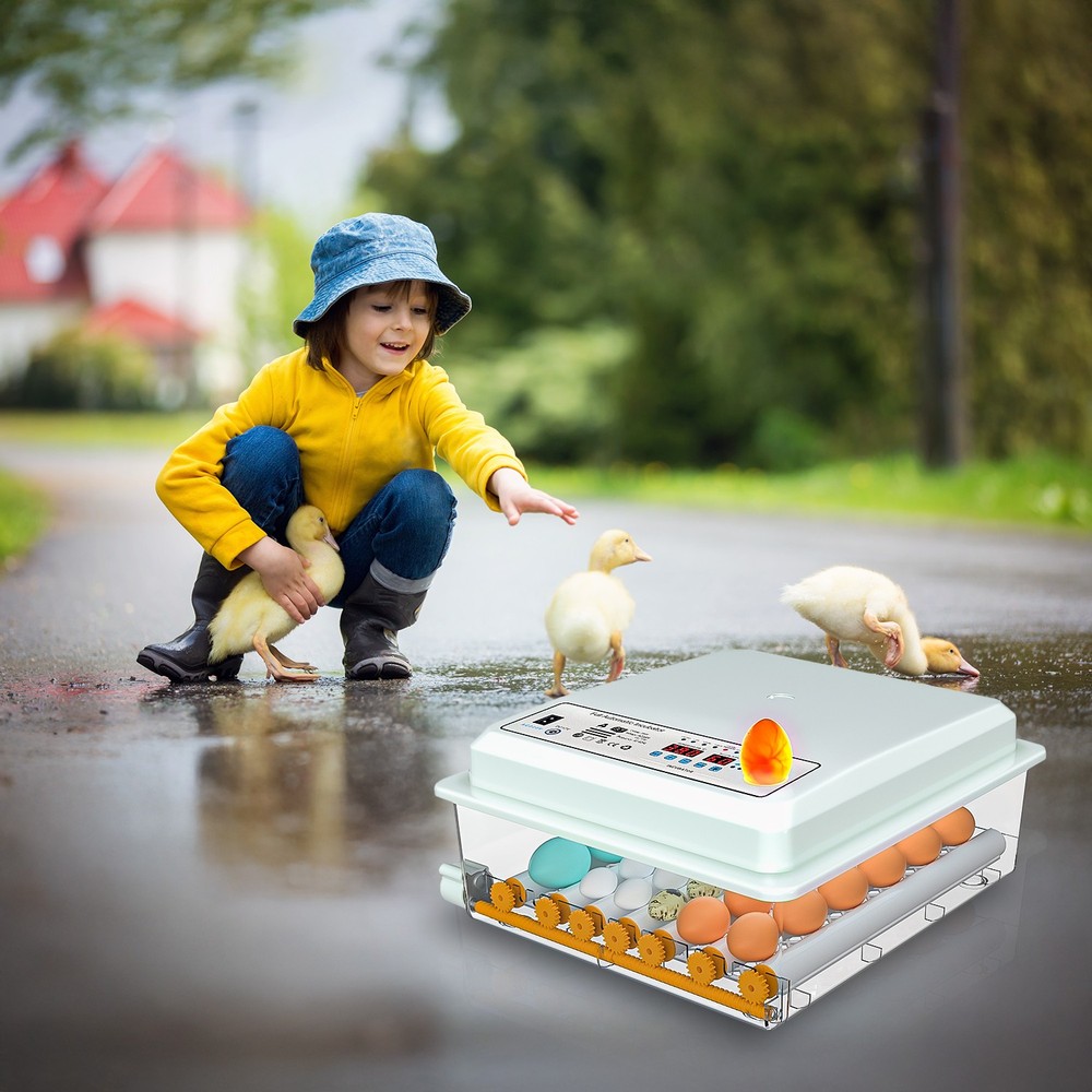 36 Egg Incubator w/Automatic Egg Turning & Temperature Humidity Control UK