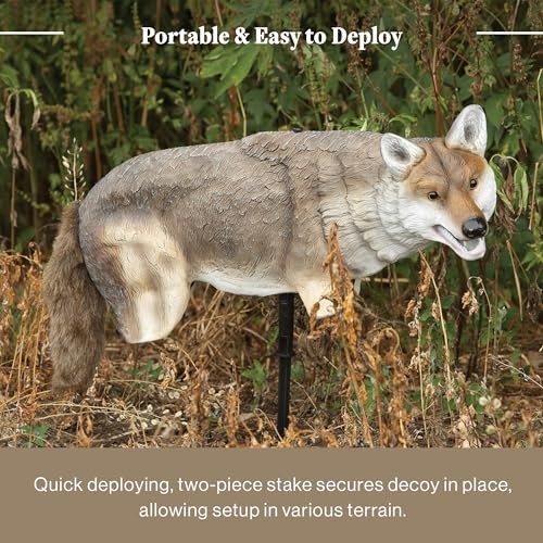 Yote Coyote Decoy