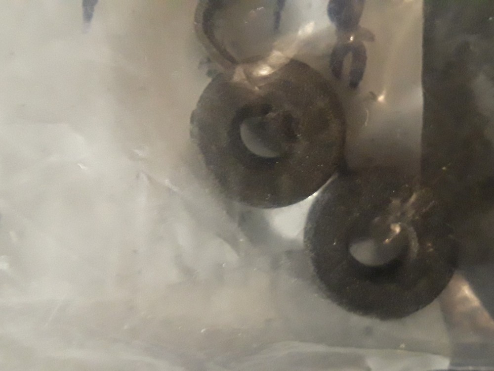 DW Petal Memory Lock