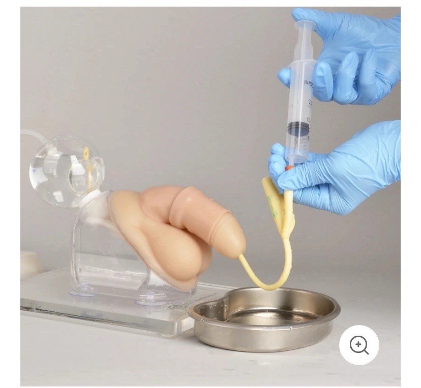 MedEduQuest Male Urethral Catherization Simulator For Students