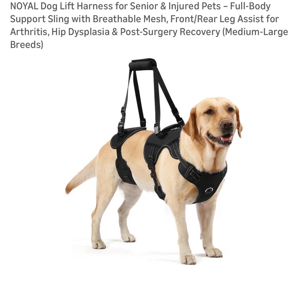 NOYAL Dog Lift Harness Full Body Support Medium-Large