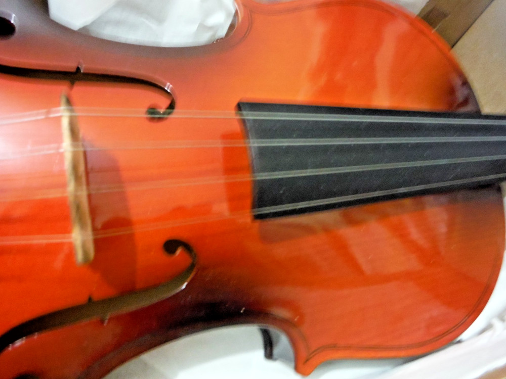 Easter 4/4 Violin NIB