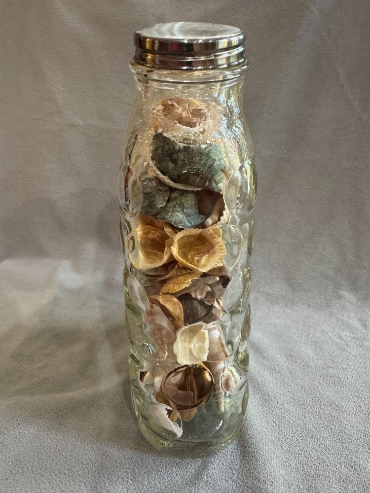 Shell Filled Bubble Textured Surface Jar with Lid