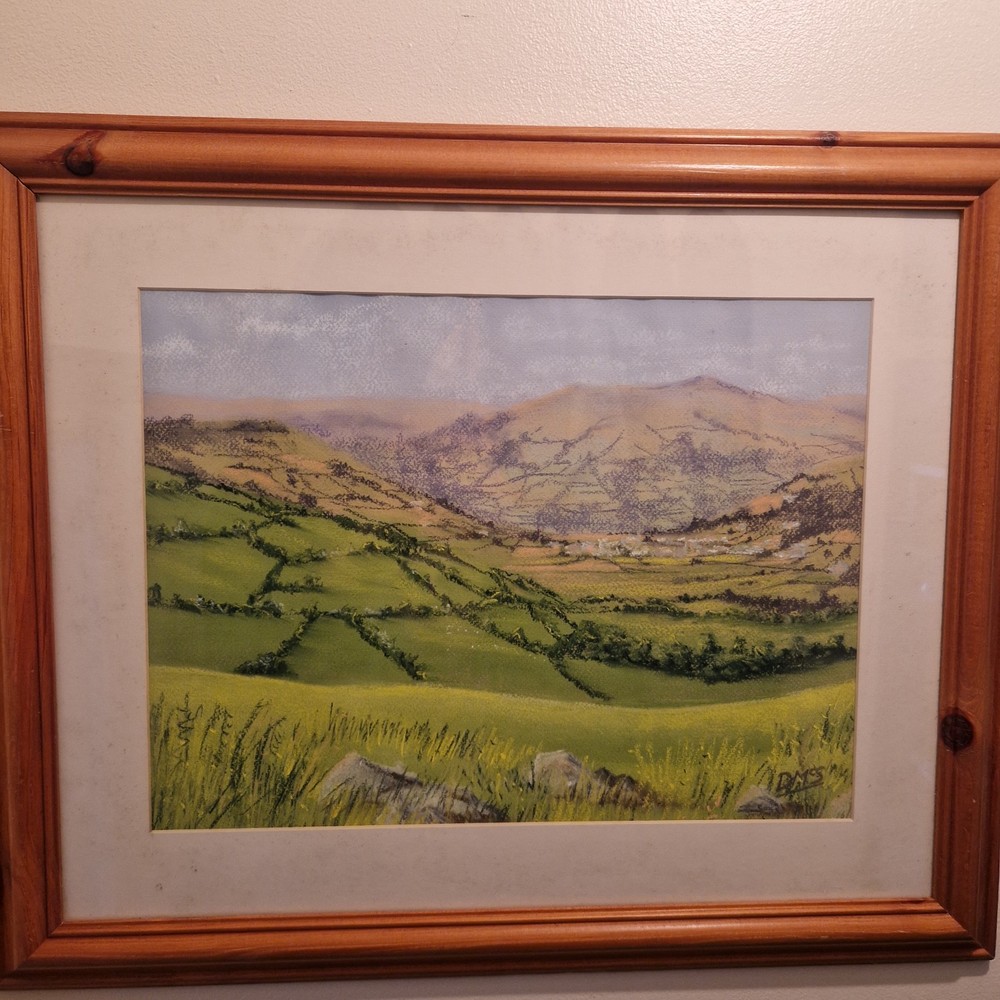 Signed Landscape Pastel Drawing DMS Framed Countryside Scene